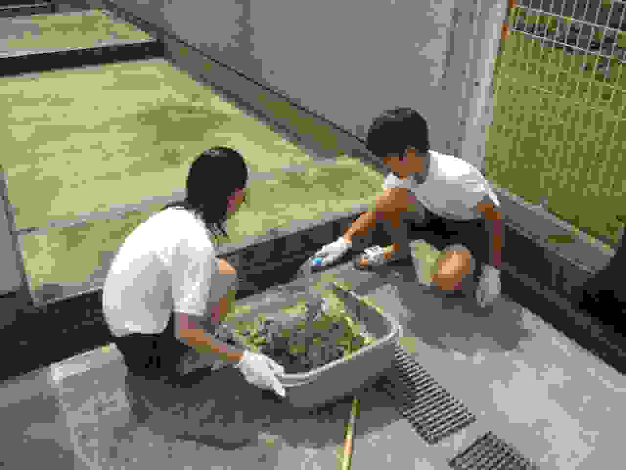 12sIMG_3725.jpg
