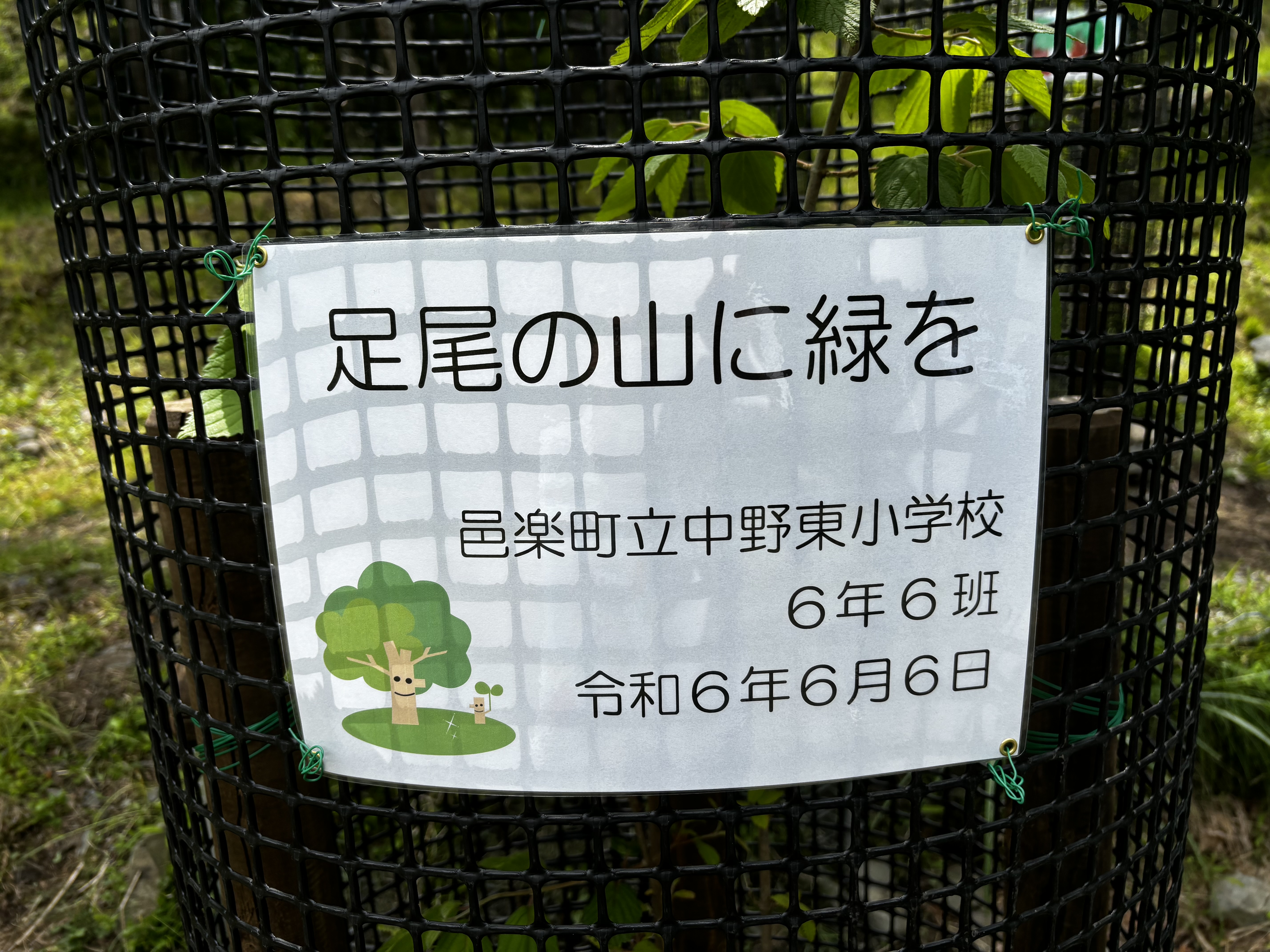 20IMG_6822.JPG
