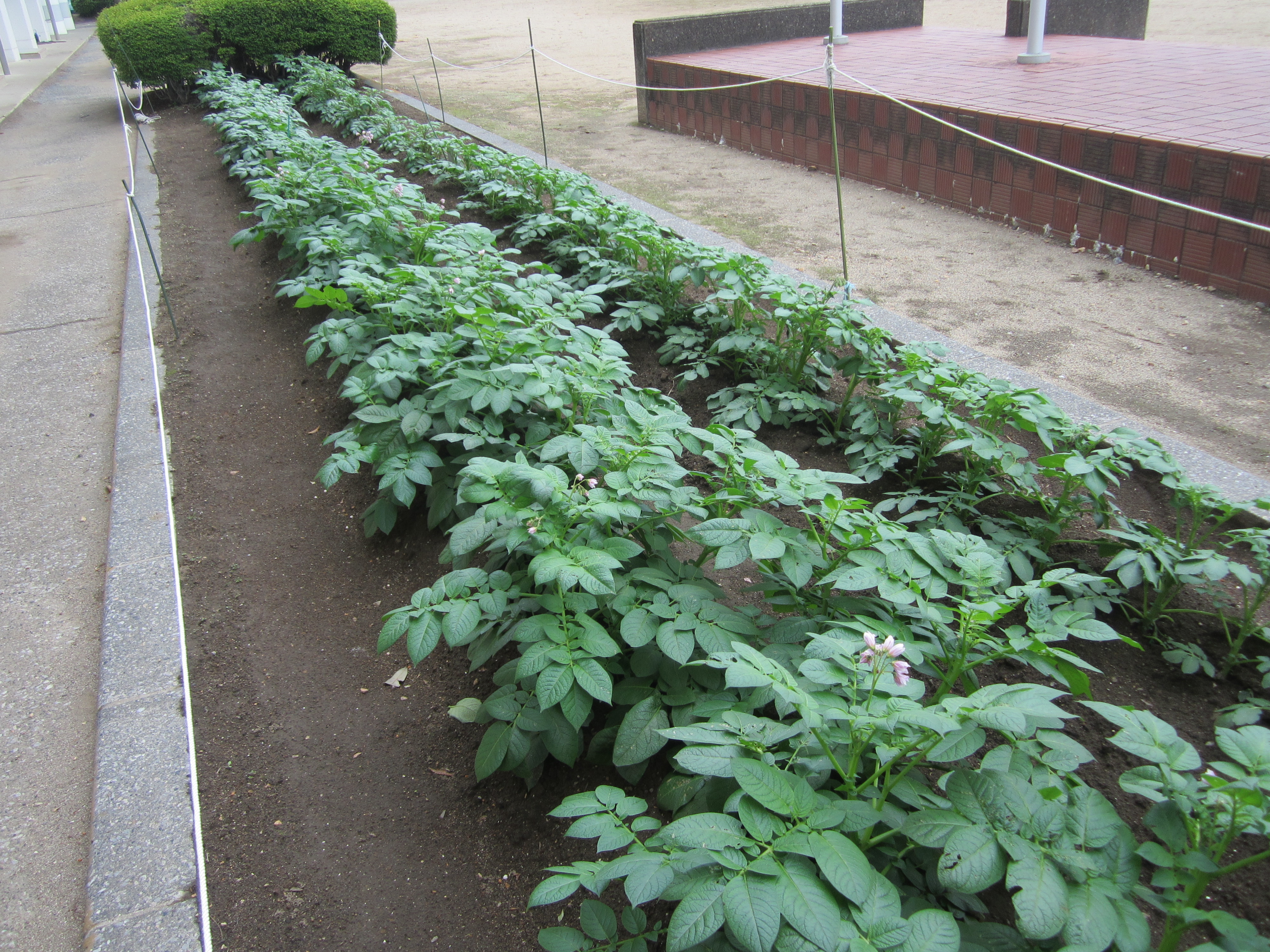1zyaga0804301.JPG