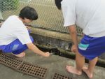 4sokkou20806154.JPG