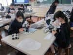 5kenbikyou0806085.JPG