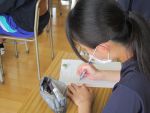 5write0807015.JPG