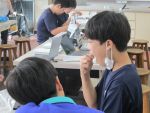 6saibou0806086.JPG