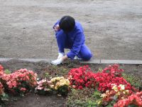 IMG_0099a.jpg