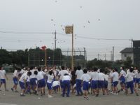 IMG_0508a.JPG