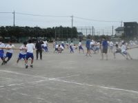 IMG_0517a.JPG
