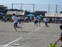 IMG_0559a.JPG