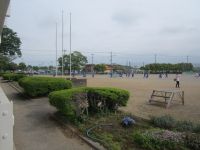 IMG_1282b.JPG