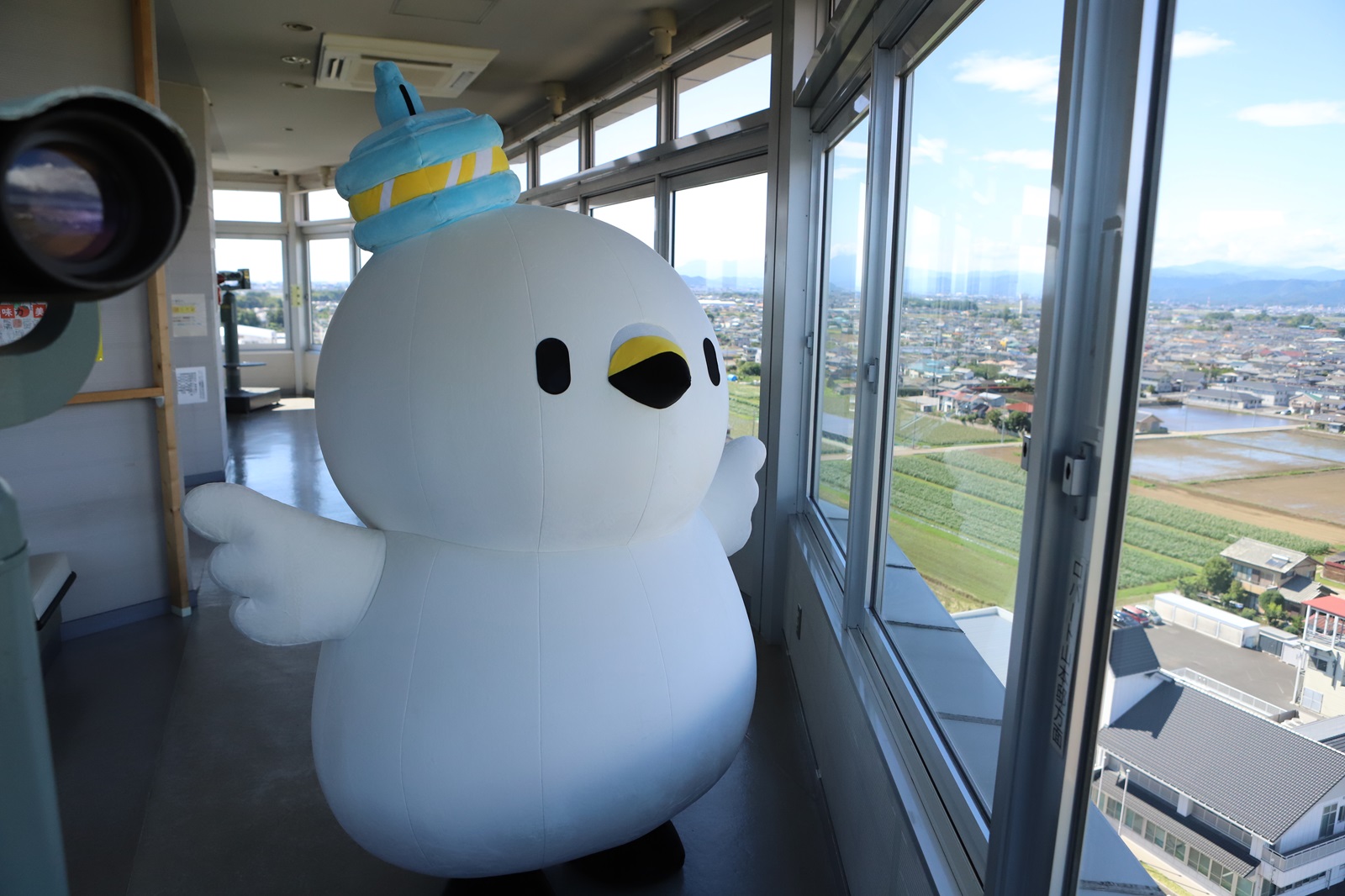 写真12の画像