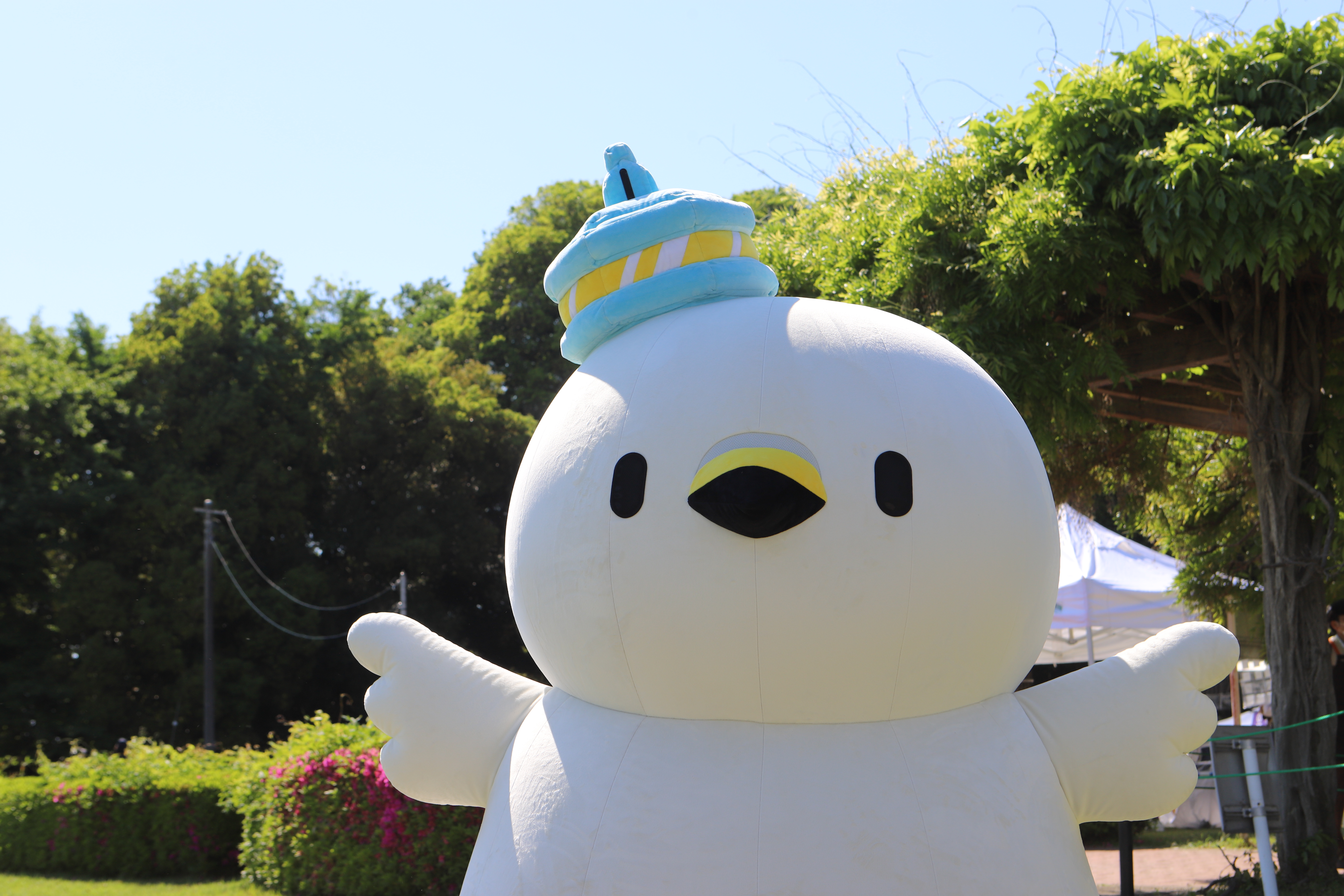 写真16の画像