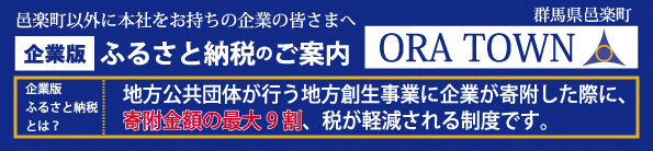 企業版ふるさと納税バナー