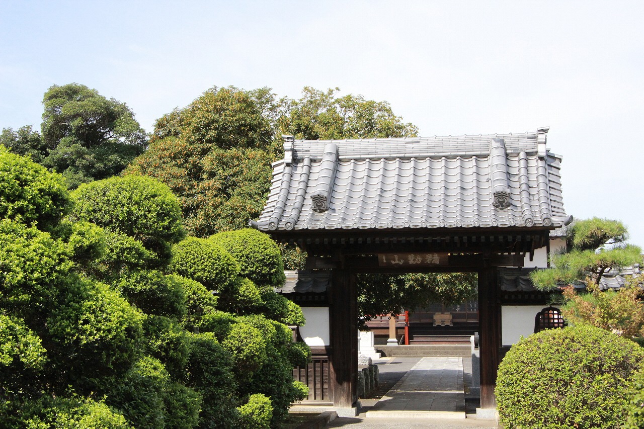 9月13日永明寺の門から見えるキンモクセイ.jpg