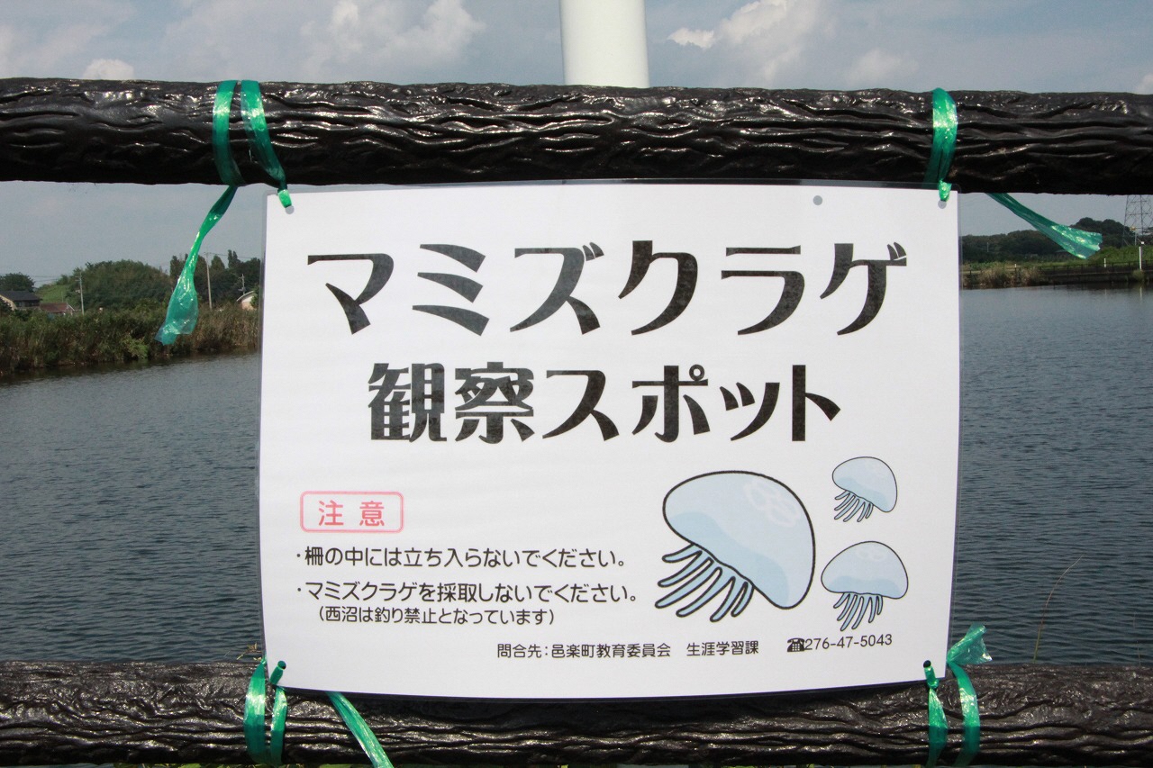 スポット看板アップ画像.jpg