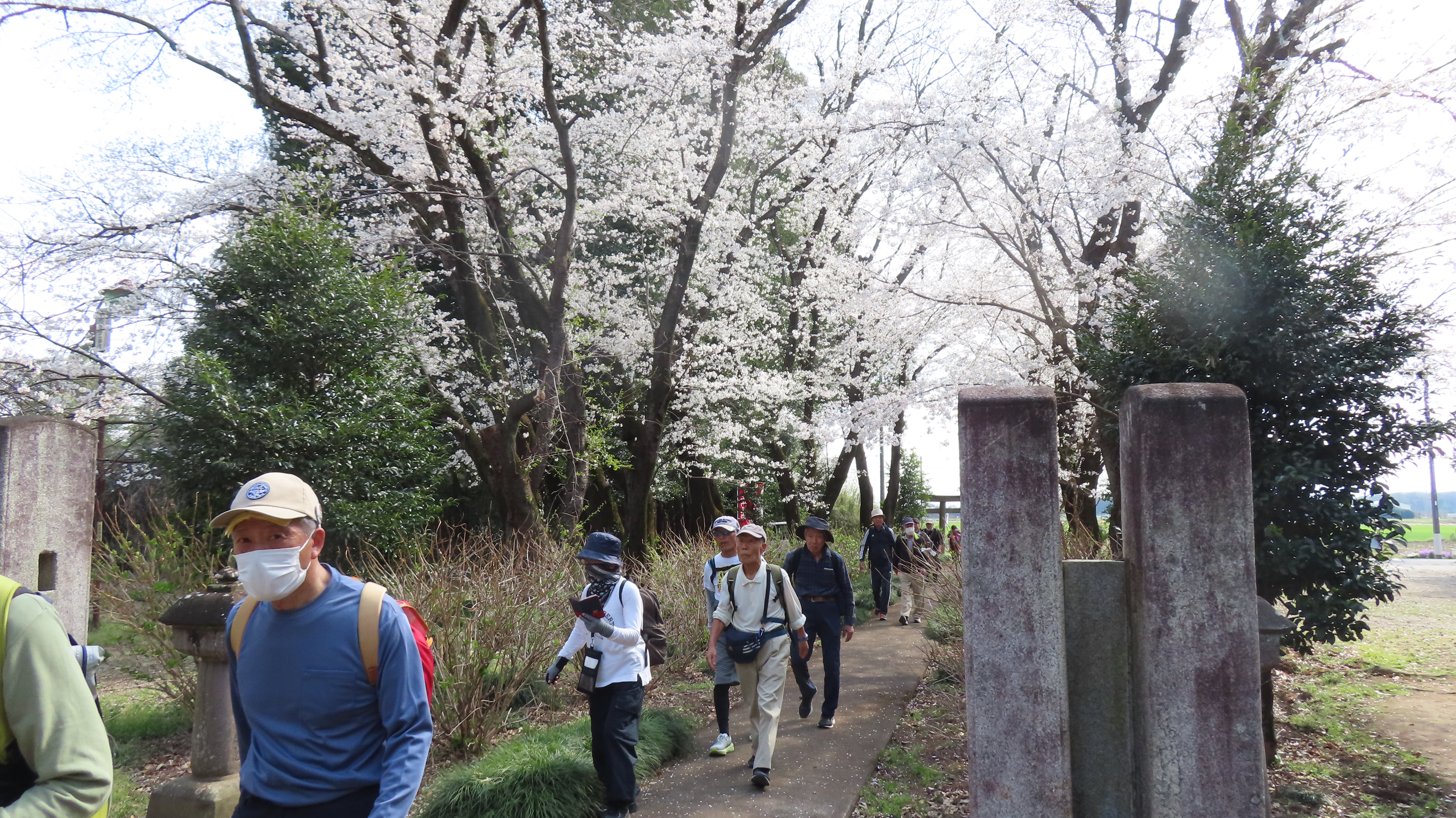 上州邑楽七福神めぐり２.4月