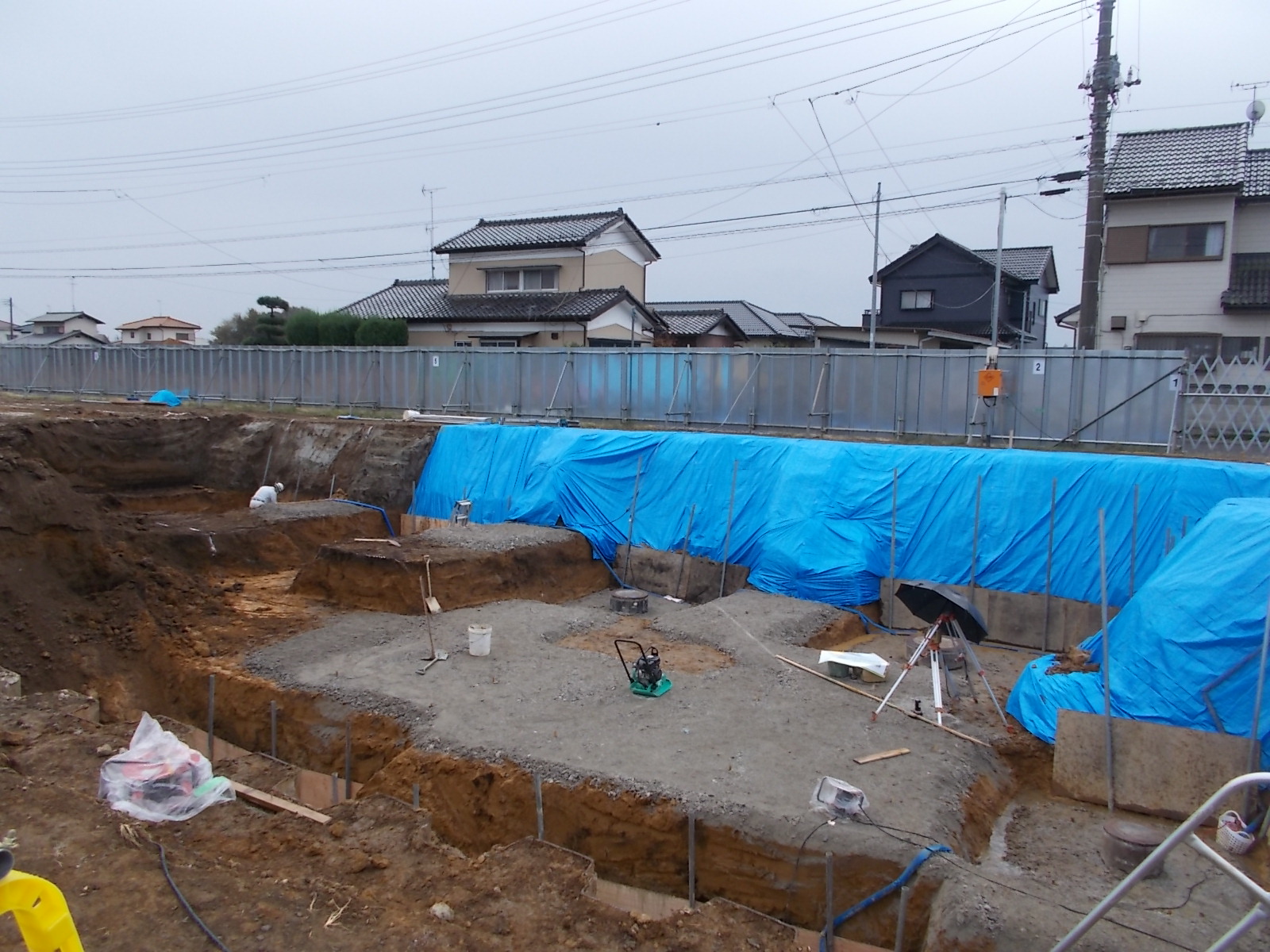 山留・根伐4